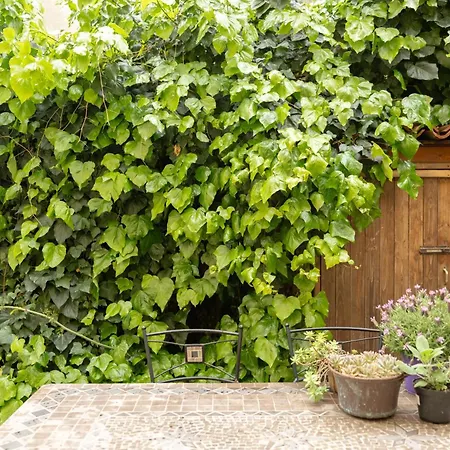 Il Cortiletto - Apartment *